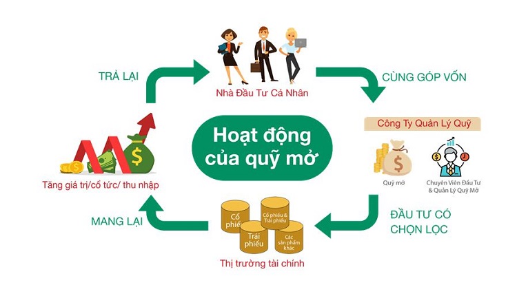 quy trinh dau tu quy mo