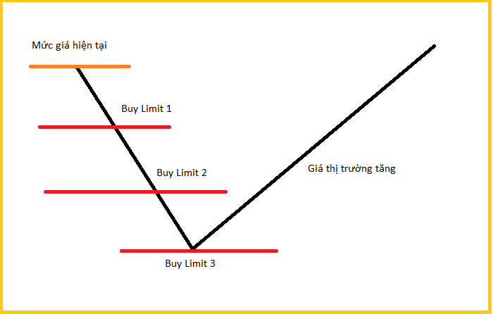 su dung lenh buy limit