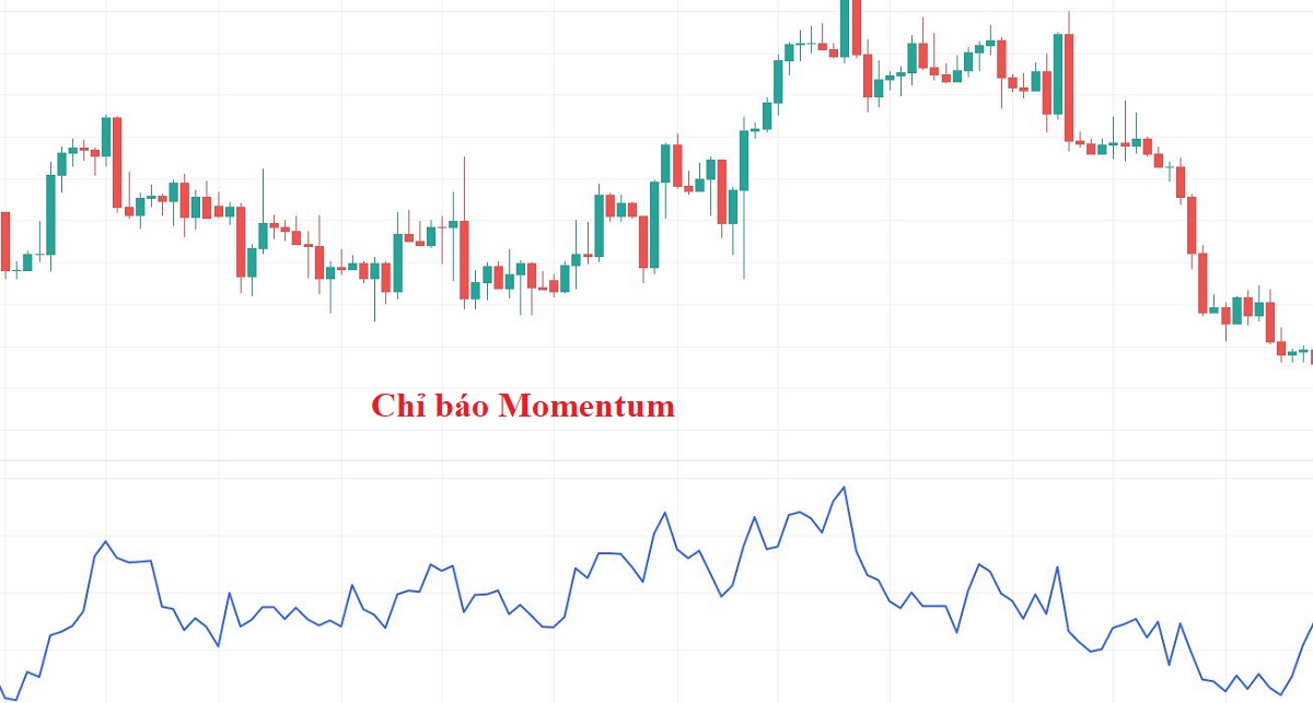 Momentum là gì? Hướng dẫn giao dịch với chỉ báo Momentum