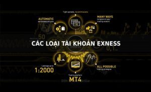 Tổng hợp các loại tài khoản Exness & sự khác biệt