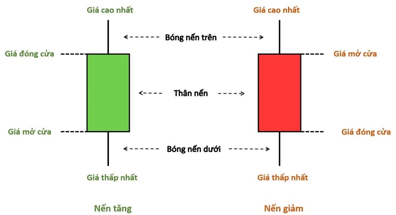 cac thanh phan cua bieu do nen 