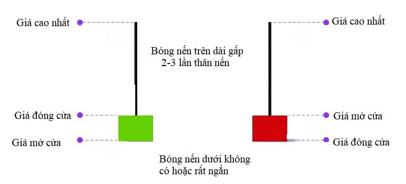 dac diem cua nen bua nguoc