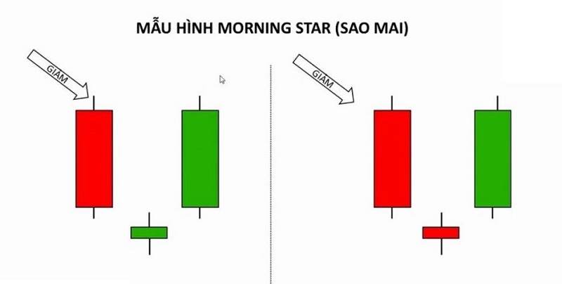 dac diem cua nen sao mai