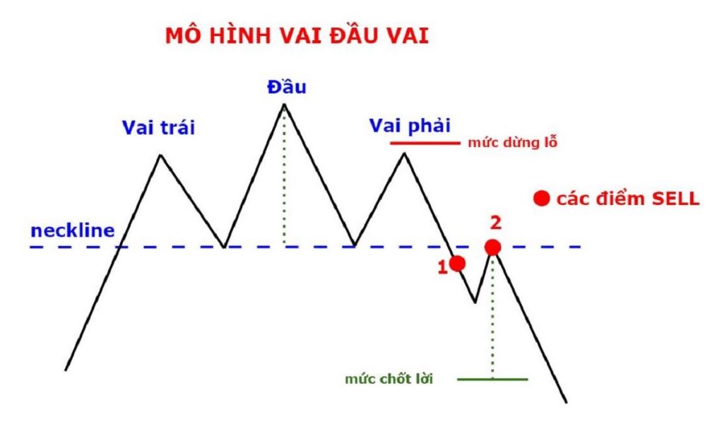 mo hinh vai dau vai