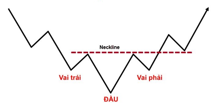 mo hinh vai dau vai nguoc