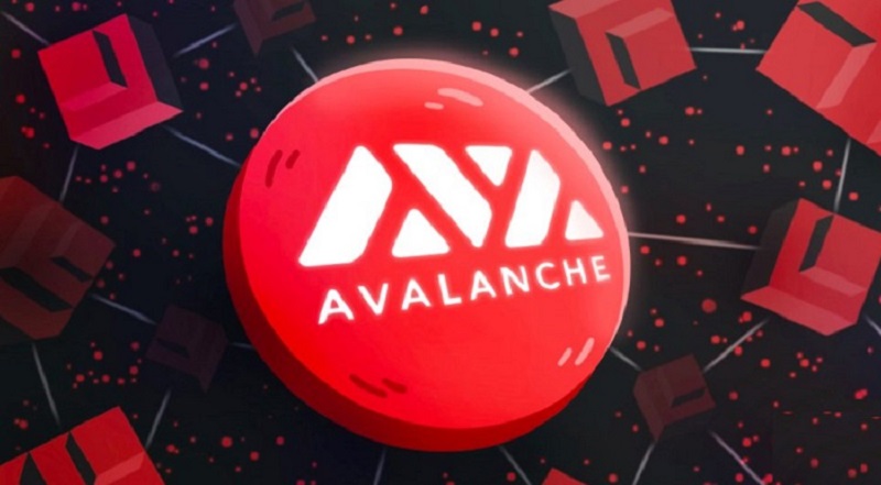 Avalanche la gi