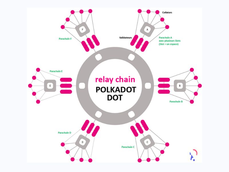 Polkadot la gi