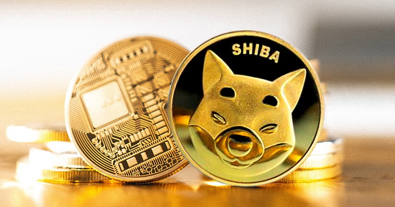 Shiba Inu coin la gi