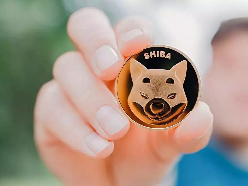 Shiba Inu coin la gi