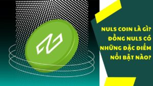 NULS coin là gì? Đồng NULS có những đặc điểm nổi bật nào?